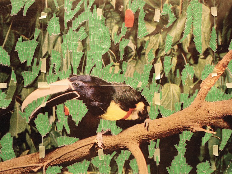 Toucan In Nature (Post It Notes), 2013.